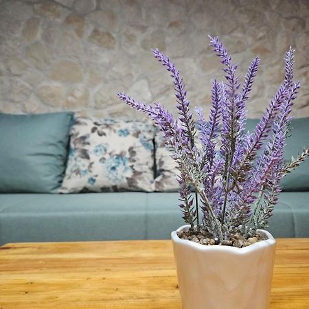 Dalmatia Rustica Comfortable One Bedroom+Fireplace 扎达尔 外观 照片