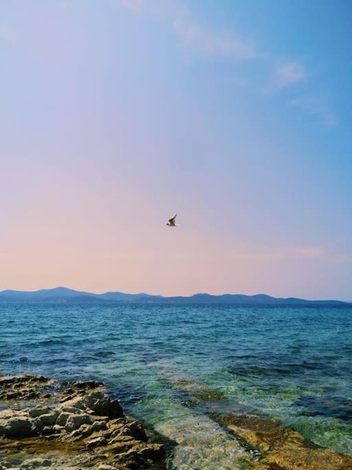 Dalmatia Rustica Comfortable One Bedroom+Fireplace 扎达尔 外观 照片