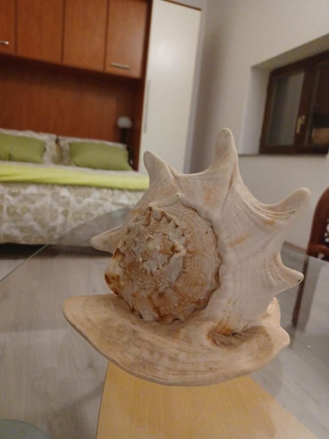 Dalmatia Rustica Comfortable One Bedroom+Fireplace 扎达尔 外观 照片