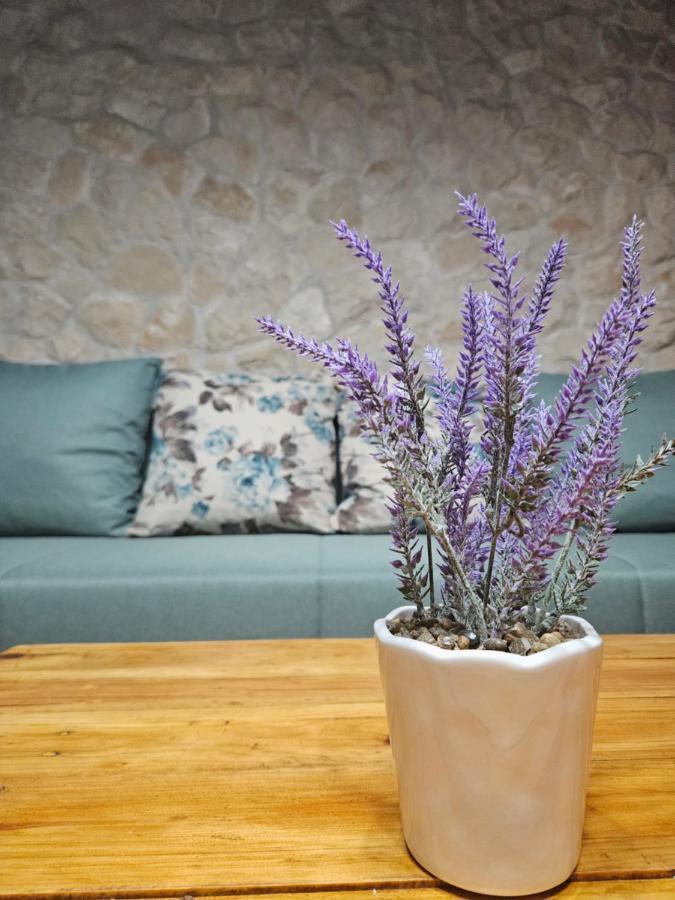 Dalmatia Rustica Comfortable One Bedroom+Fireplace 扎达尔 外观 照片